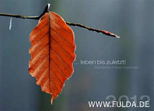 nachdenken anregen thumbnail