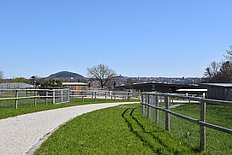 Das Bild zeigt im Vordergrund einen Weg zwischen zwei Weiden. Der Weg führt zu einem niedrigen holzverkleideten Gebaude. Im Hintergrund sieht man die Stadt Fulda.