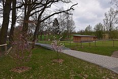 Das Foto zeigt einen Steg aus Metall, der weiter anch unten führt.